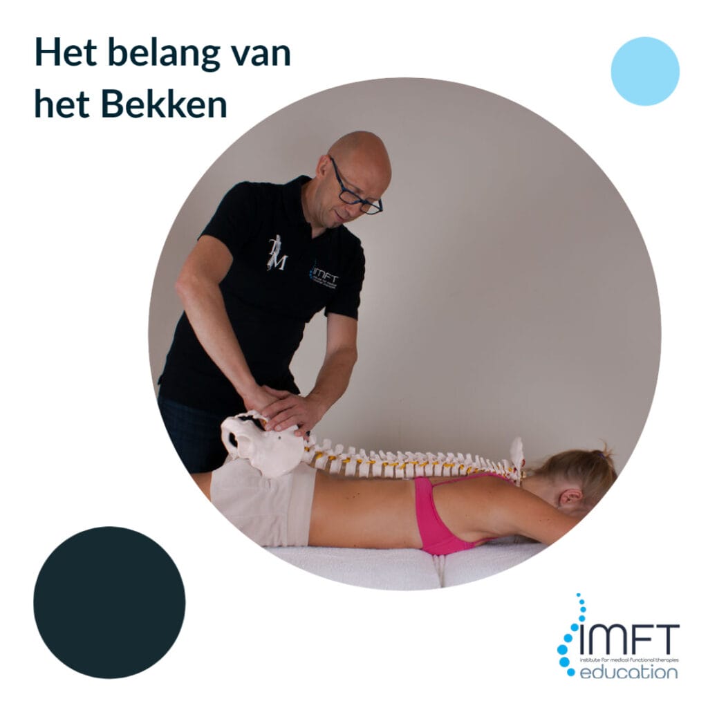 Het belang van het bekken bij manuele therapie - Alain Steverlynck